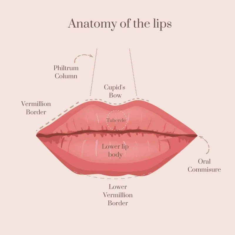 Lip volume enhancement at Aesthetic Doctors Australia, Kew Melbourne: image 1